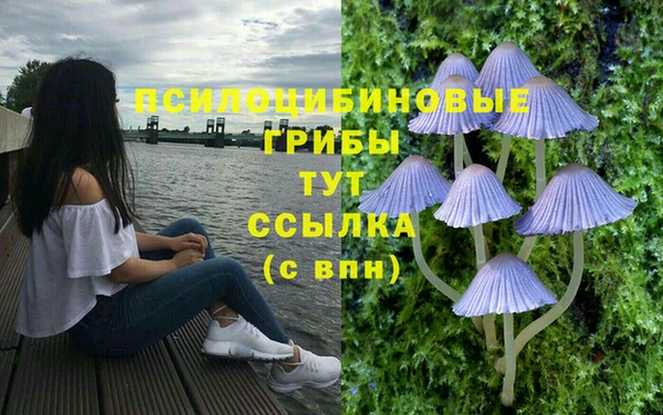 альфа пвп Осташков