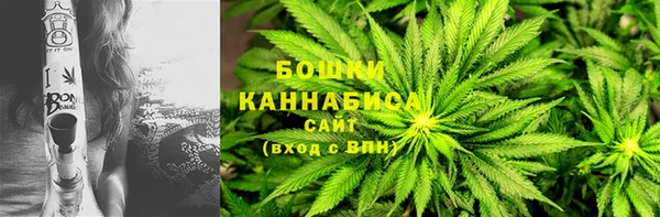 ГАЛЛЮЦИНОГЕННЫЕ ГРИБЫ Белая Холуница