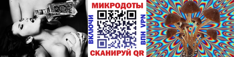 Галлюциногенные грибы ЛСД  Южа 